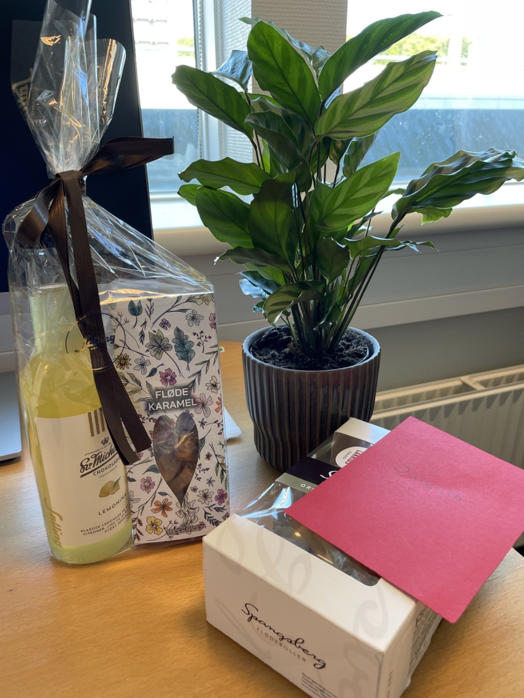 MEDICINSTUDERENDE PÅ BESØG