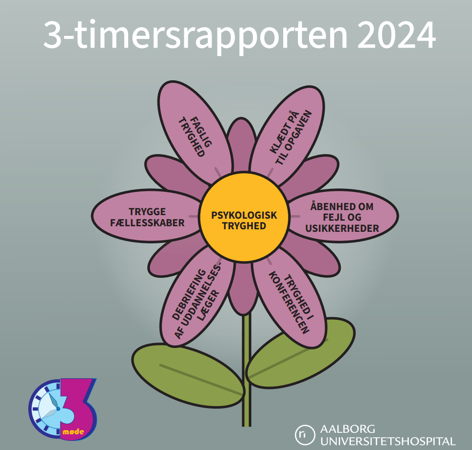 3 timers rapport&nbsp;2024